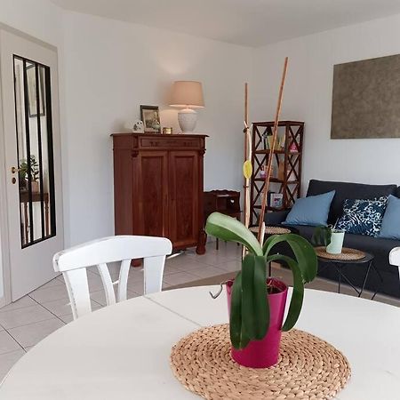 Appartement Strasbourg 3 Pieces Avec Jardin à Brumath Extérieur photo