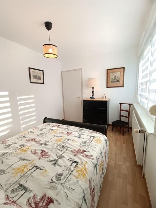 Appartement Strasbourg 3 Pieces Avec Jardin à Brumath Extérieur photo