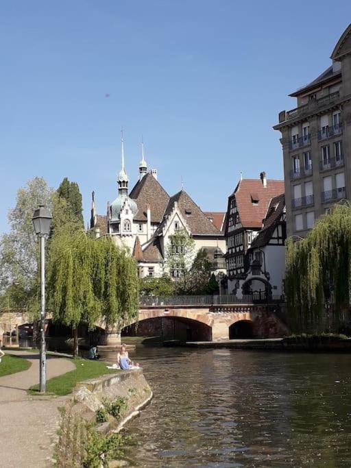 Appartement Strasbourg 3 Pieces Avec Jardin à Brumath Extérieur photo