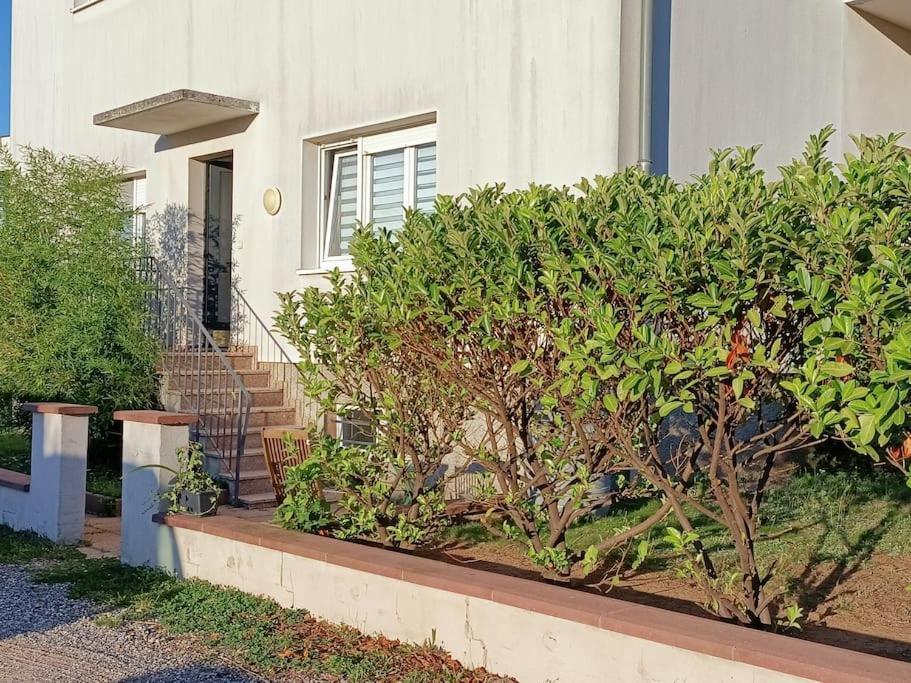 Appartement Strasbourg 3 Pieces Avec Jardin à Brumath Extérieur photo